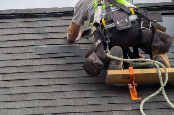 Best Roof Gutter Cleaning  in Kearney Park, MS