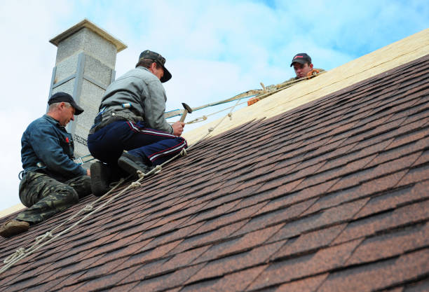 Best Roof Waterproofing Services  in Kearney Park, MS